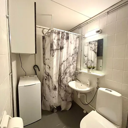 公寓 Unique In With Sauna Department Free Parking 凯米