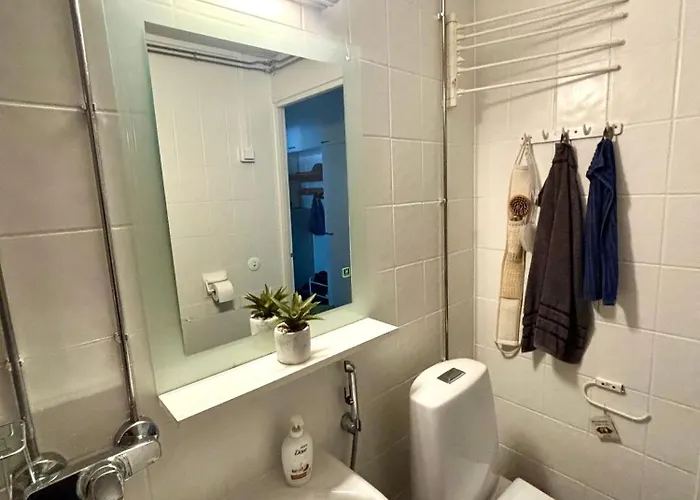 Lägenhet Unique In With Sauna Department Free Parking Kemi