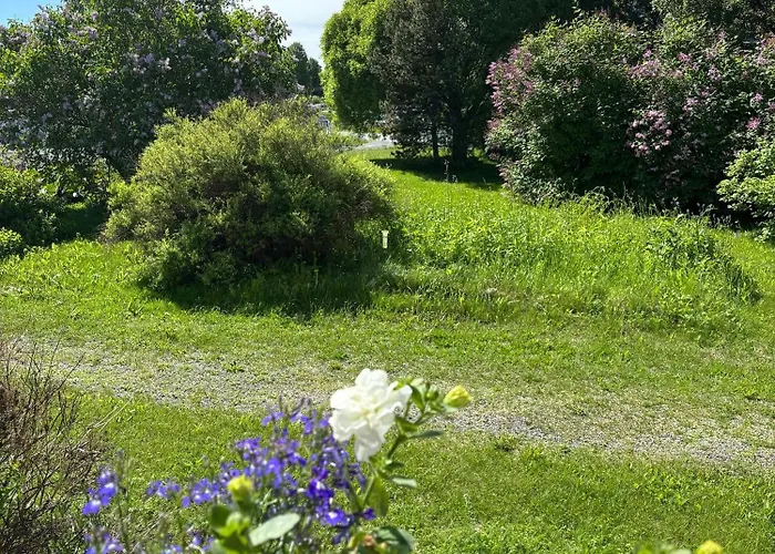 Unique In With Sauna Department Free Parking